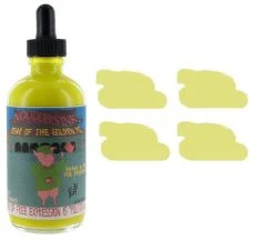 Noodlers Fountain Pen Ink Bottle - 4.5 Oz Year Of The Pig Highlighter